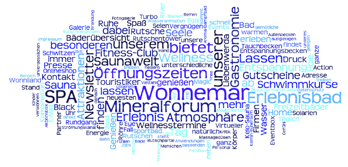 Lausitztherme-Wonnemar wordcloud Feb. 2010
